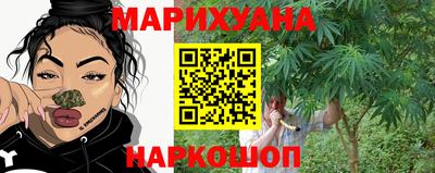 индика Сланцы