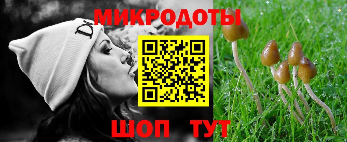Новоуральск  Псилоцибиновые грибы прущие грибы  Вход с VPN 